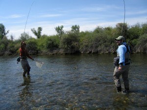 Eric & Josh doubled up on the Bighorn River, May 2012