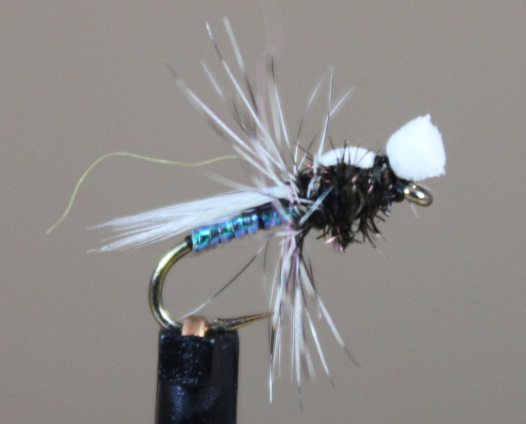 Dry Fly Midges Catch Fly Fishing Billings, Montana