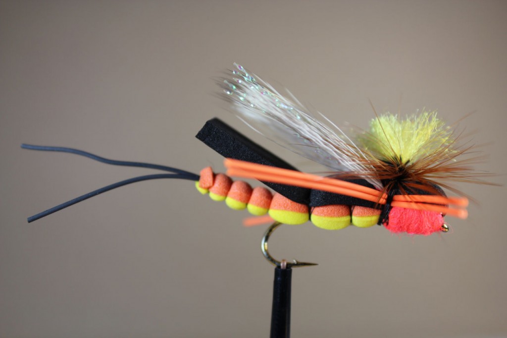 Salmonfly Big Sky