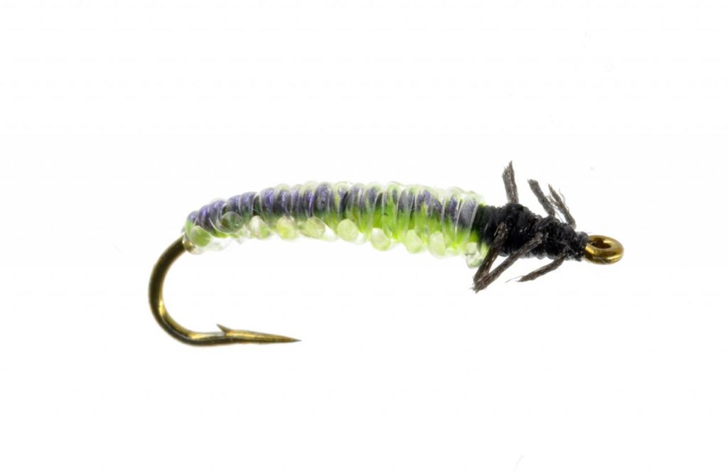 caddis_larva_green Catch Fly Fishing