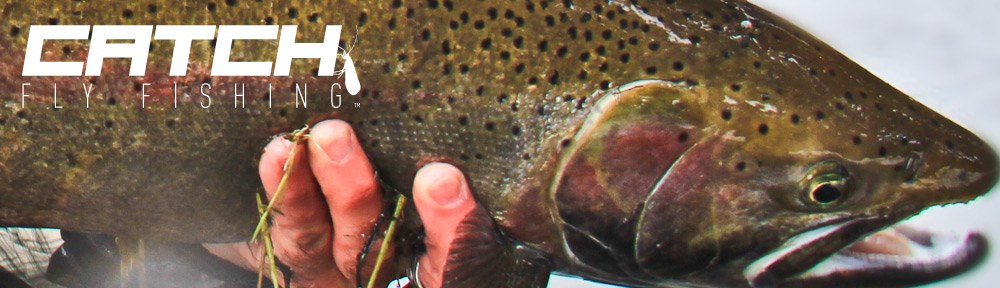 Catch Steelhead & Salmon Patterns