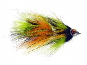 CATCH’s Cousin It Fire Tiger SKU:CFBB2081 Sizes: 4