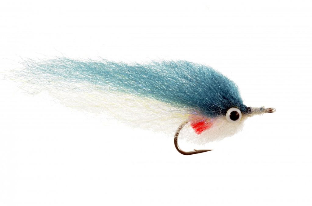 ep_blueback_herring Catch Fly Fishing