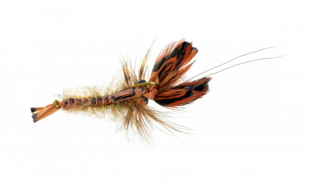 softshell_crayfish_brown Catch Fly Fishing