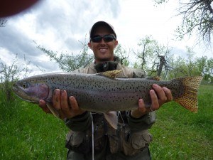 big-rainbow-trout-28-inch