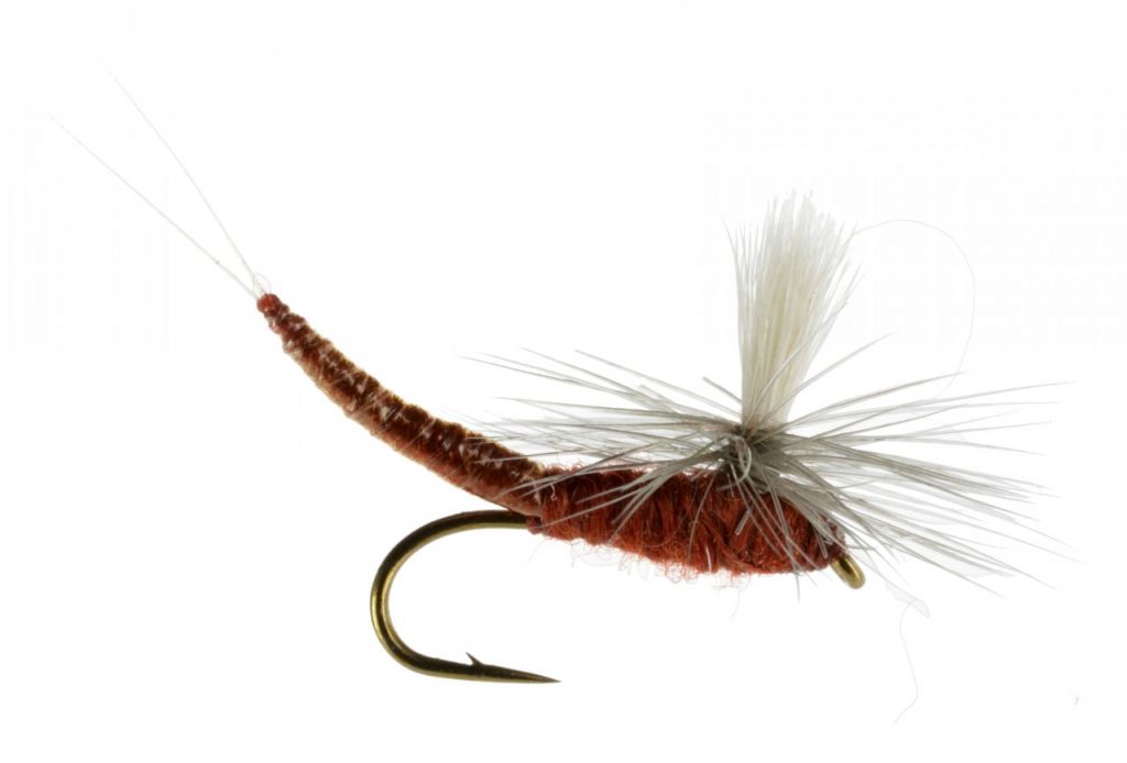 Pale Morning Dun Dry Fly (PMD), 6-pack - Blue Wing Olive