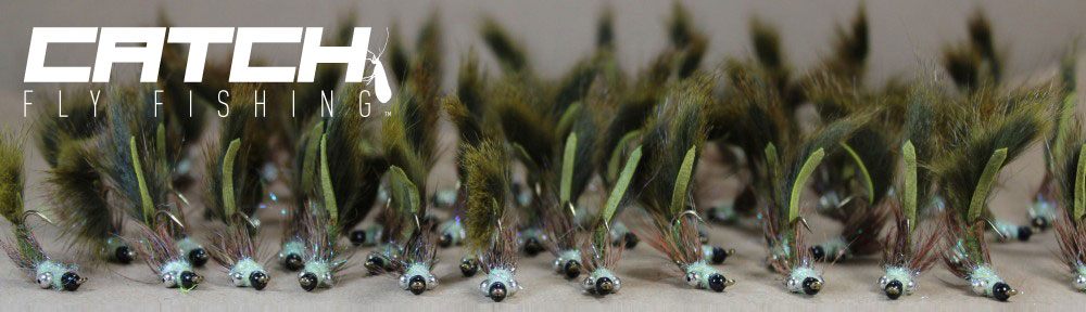 CATCH Carp Fly Innovation