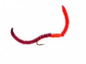 Two Tone San Juan Worm (Wine Red) Sku: CFFW1024 Sizes: 8-12