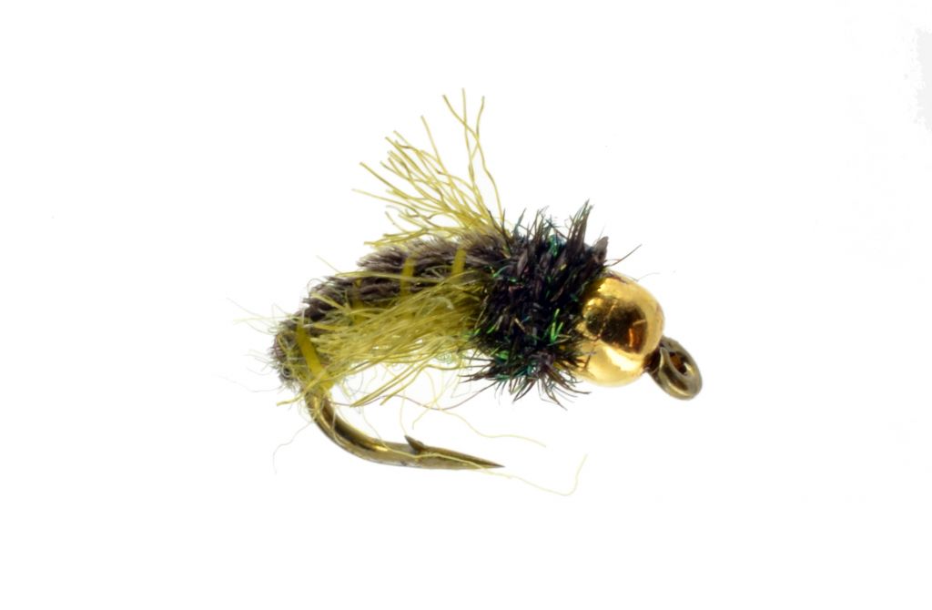 zwing_caddis_olive_tungsten_beadFilename1 Catch Fly Fishing