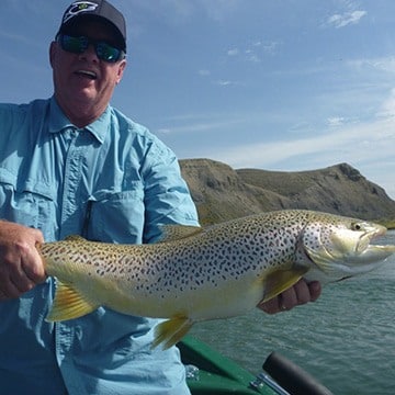 Duane Green's huge brown trout