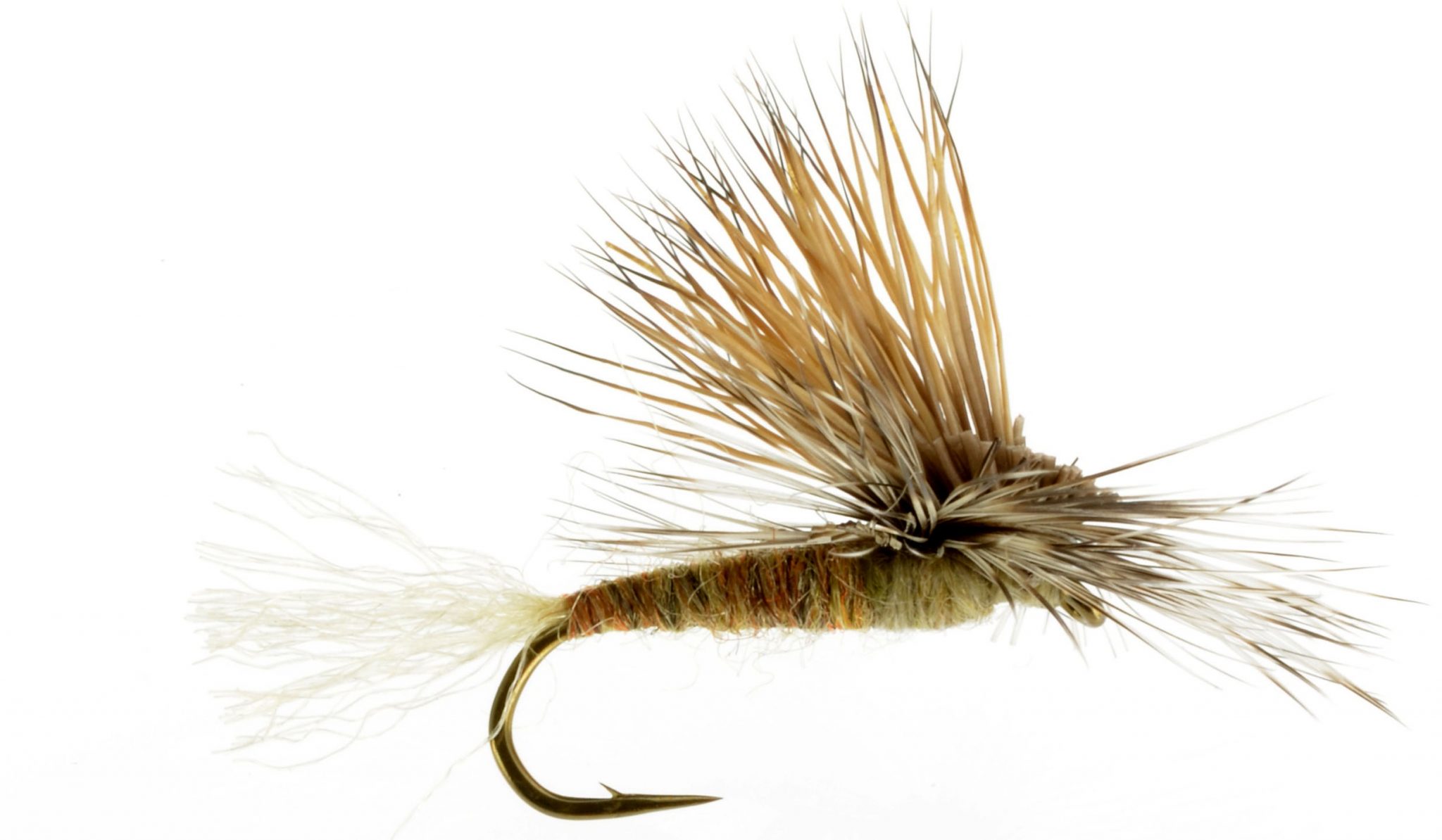 Dry Fly Caddis Patterns - Catch Fly Fishing - Billings, MT