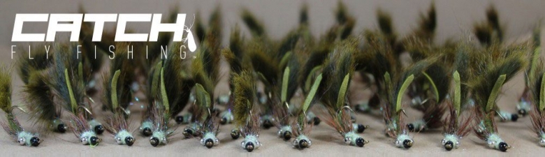 CATCH Carp Fly Innovation CATCH Carp Fly Innovation